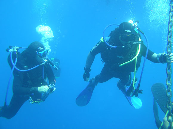 dive