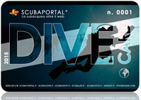 Dive Card