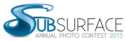 Subsurface 2013