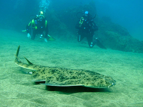 fuerteventura