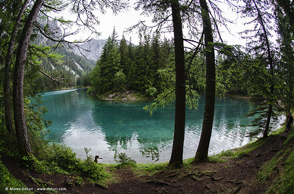 Grüner See