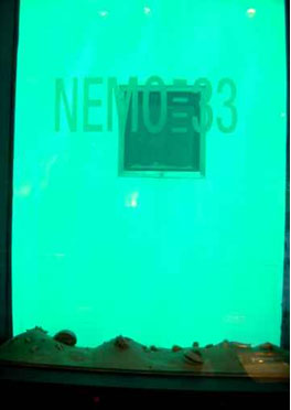 piscina Nemo 33