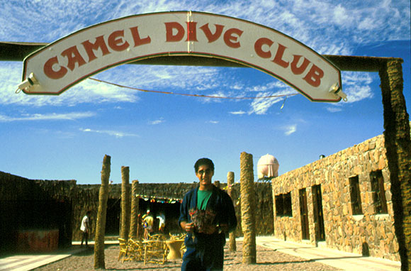 Camel Dive Club & Hotel di Sharm El Sheikh