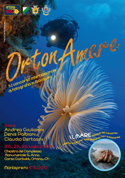 Ortonamare