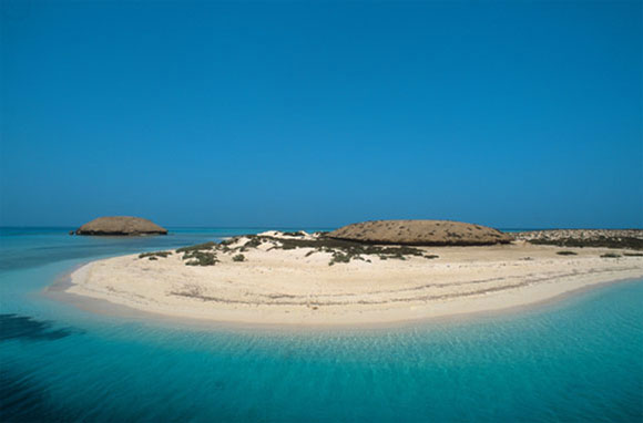 Diving a Farasan Banks