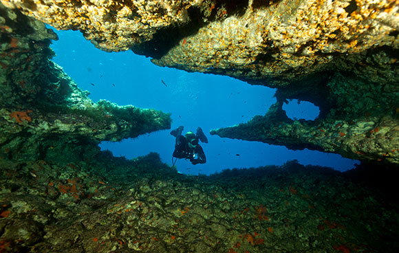 Orangeshark H2o - Diving Center italiano a Malta