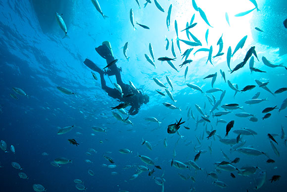 Orangeshark H2o - Diving Center italiano a Malta