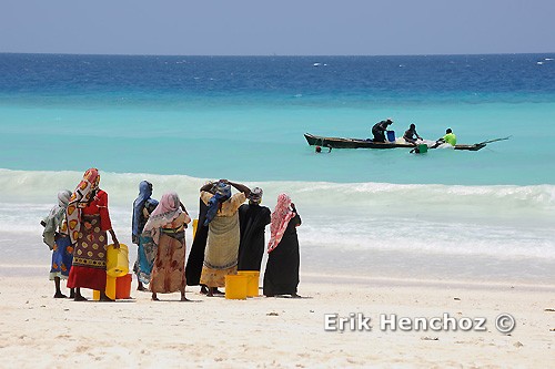 immersioni a Zanzibar