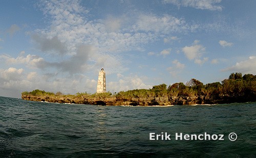 immersioni a Zanzibar