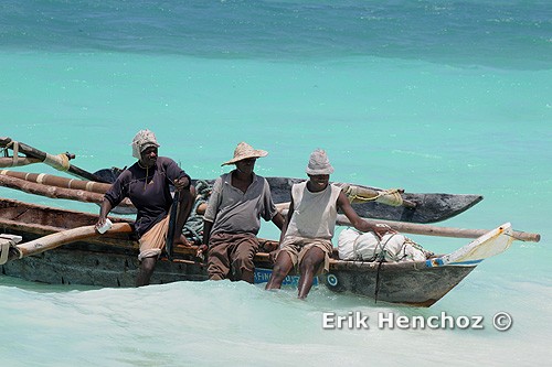 immersioni a Zanzibar