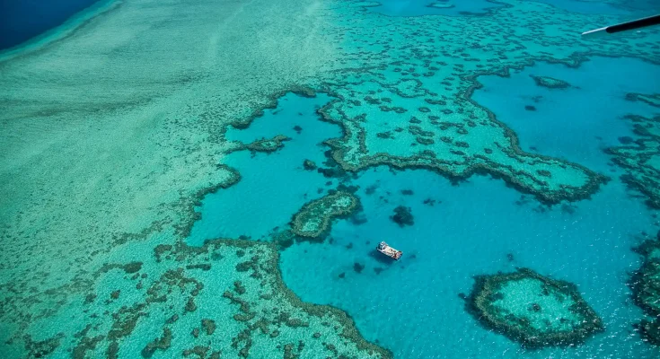 australia subacquea barriera corallina