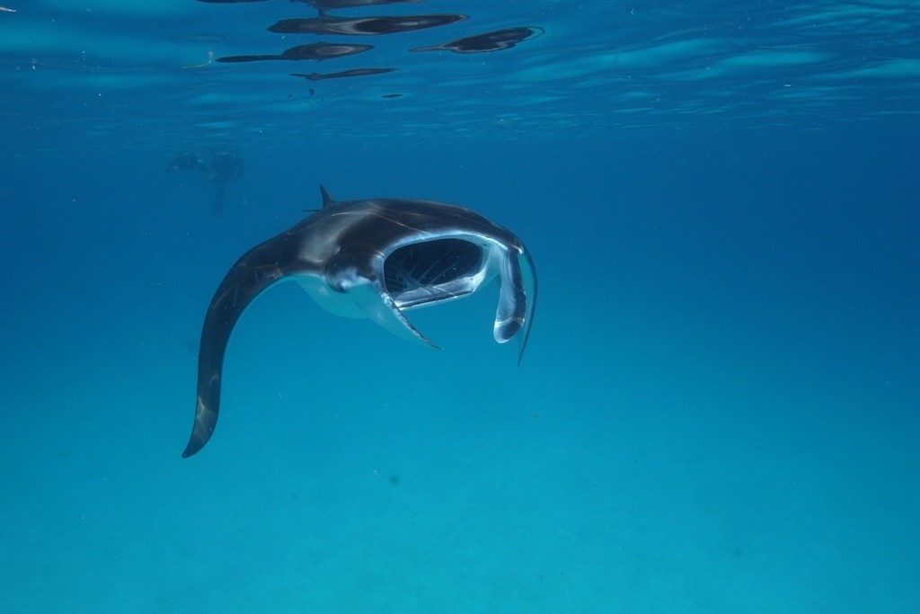 foto_snorkeling