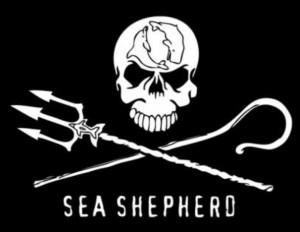 Sea Shepherd alla Festa della Marineria @ Spazio Boss, Auditorium Marineria | La Spezia | Liguria | Italia