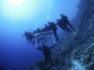 Tuffiamoci alla scoperta dei fondali marini della Gallinara @ Diving Center Idea Blu,, Albenga | Liguria | Italia