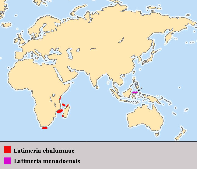 Latimeria_distribution_RUS