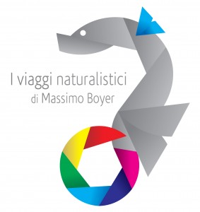 logo naturalistic
