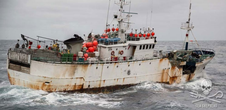 La Kunlun (Taishan), nave bracconiera, sfuggita alle autorità in Thailandia nel mese di settembre.