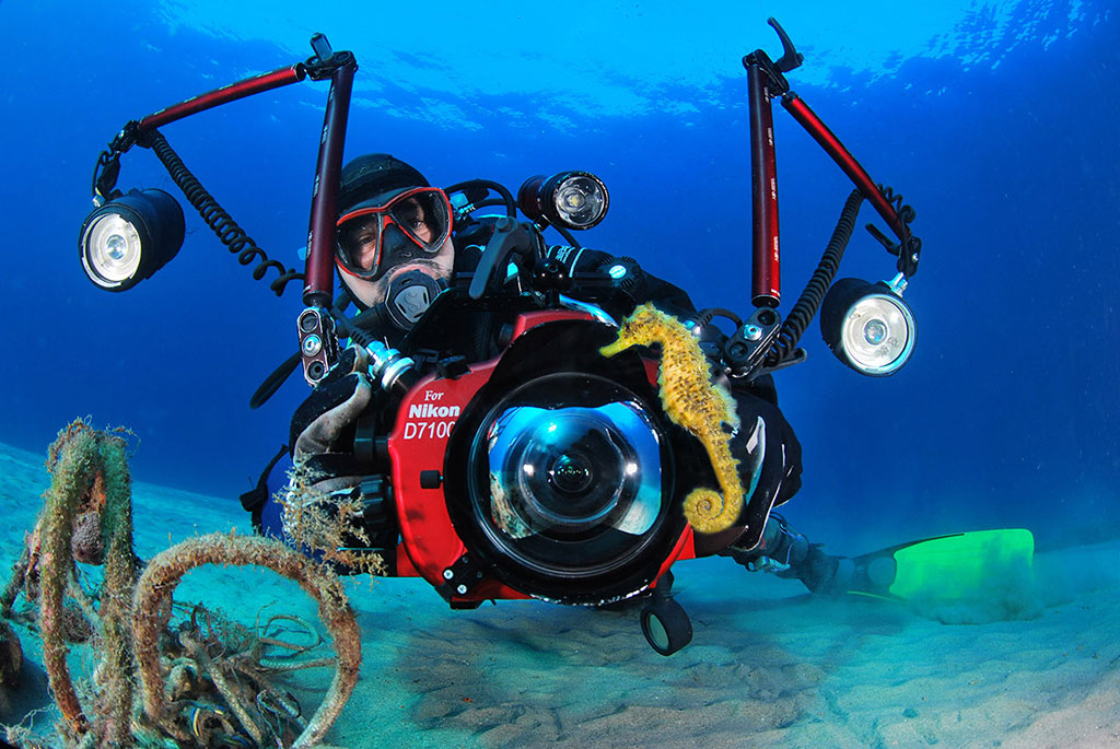 Foto di Dario Viccari. Conoscere il mare significa riuscire ad allenare lo sguardo per l’individuazione di quei piccoli animali facenti parte di un microcosmo infinito e ricco. Come nel caso del cavalluccio marino, piccolo pesce sempre difficile da individuare per le sue abilità nel risultare quasi invisibile sui fondali che frequenta. 