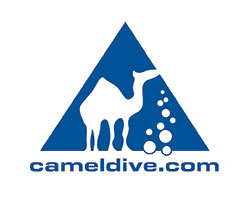 camel dive club