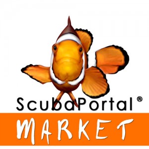 logo-sp-marketplace