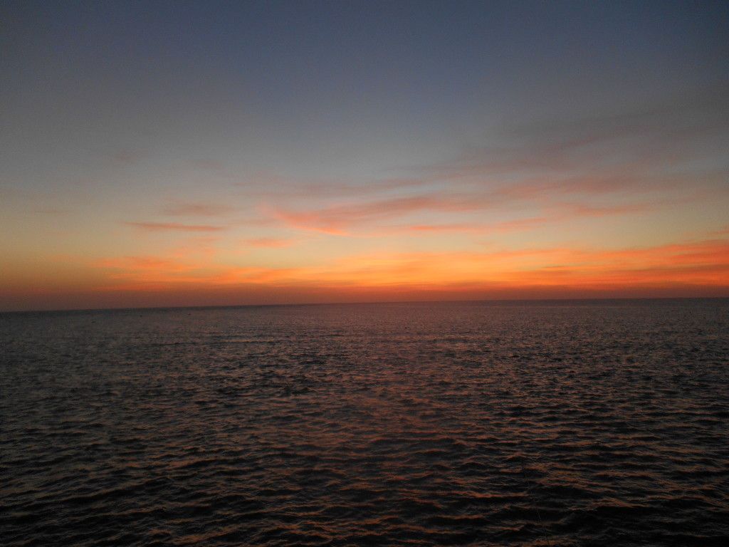 DSCN1826