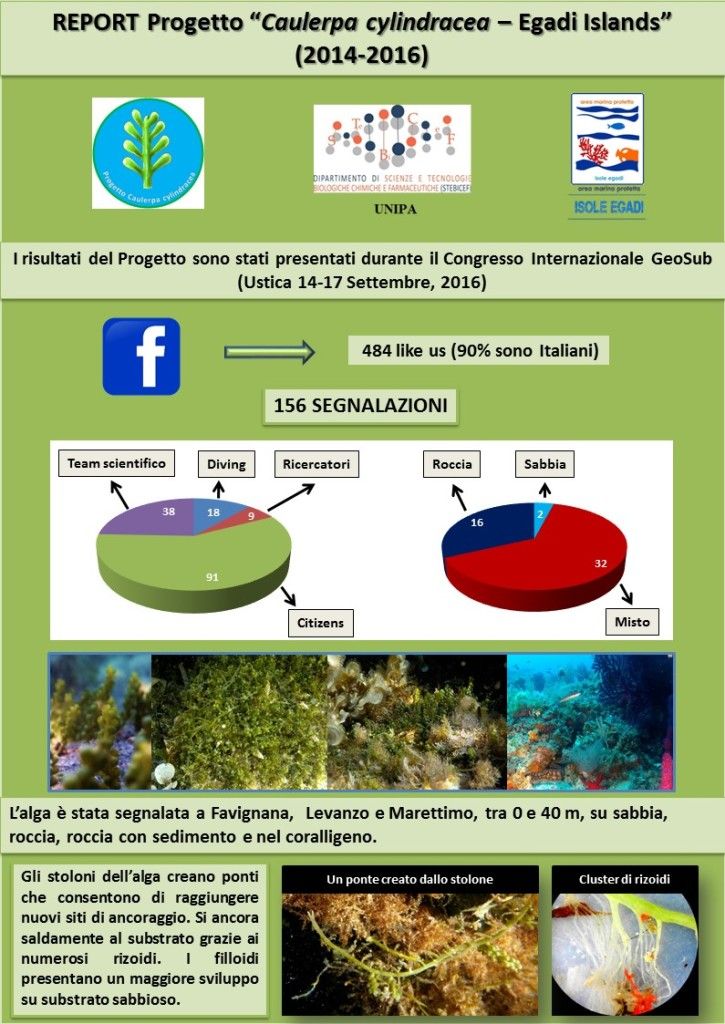 diapositiva1-1