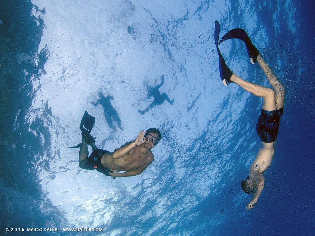 snorkeling malta