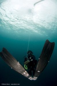deep stop