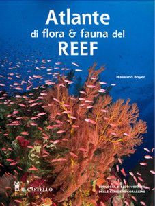 atlante di flora e fauna del reef