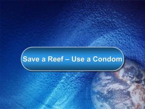 save the reef