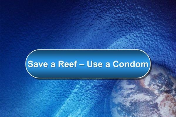 save the reef