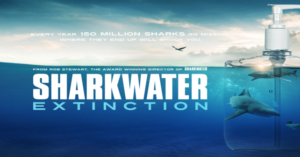 sharkwater