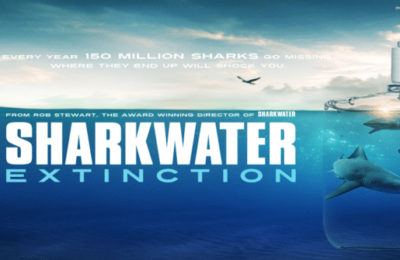 sharkwater