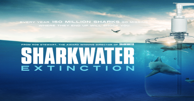 sharkwater