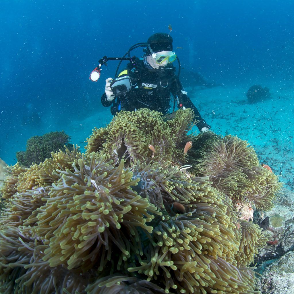 viaggi naturalistici di Massimo Boyer