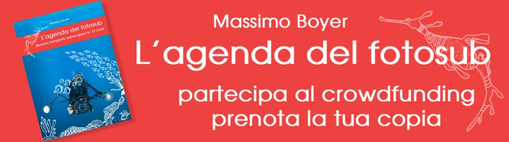 Prenota il libro in prevendita