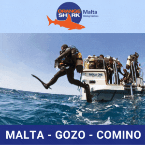 OrangeShark Diving Malta