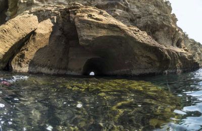 Coral gardening… ovvero coltivare il corallo!