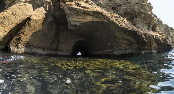 Coral gardening… ovvero coltivare il corallo!
