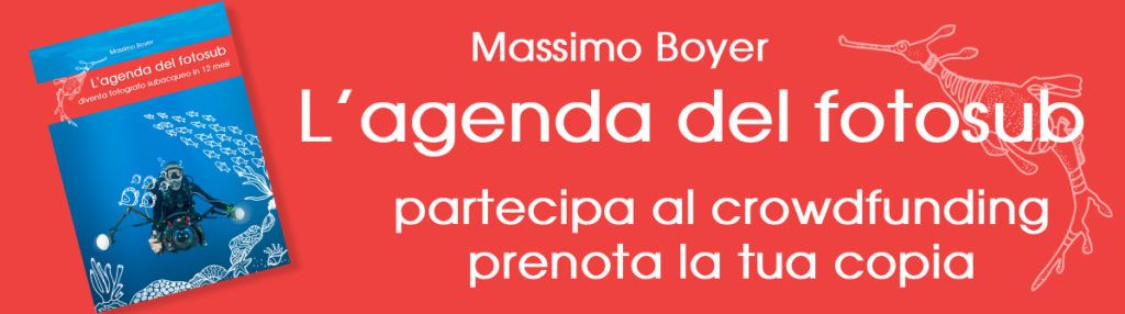 agenda del fotosub