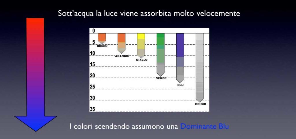 videoripresa subacquea