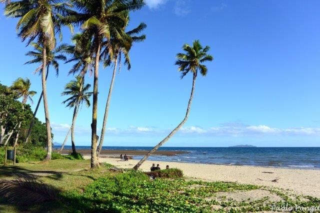 immersioni alle isole Fiji