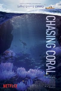 chasing coral