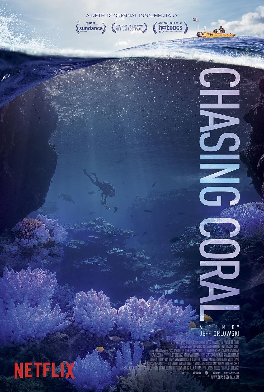 chasing coral