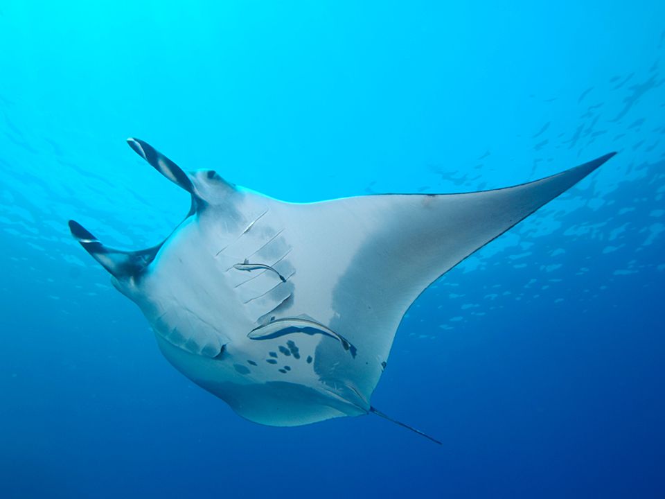 sharm el-sheikh