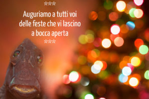 buon natale