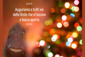 buon natale