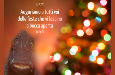 buon natale