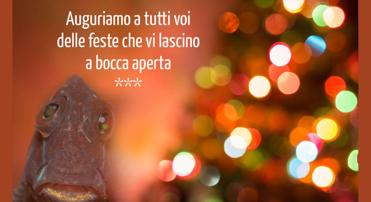 buon natale