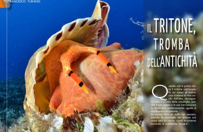 tritone